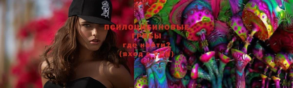 бутират Арсеньев